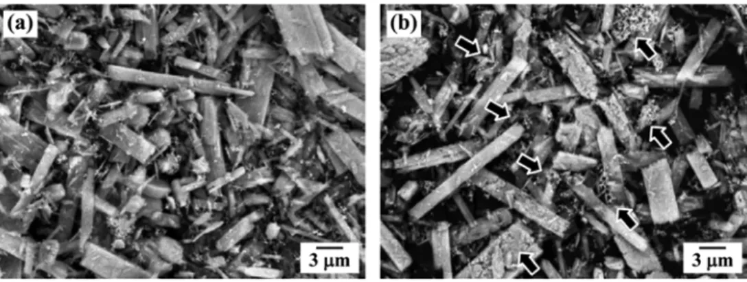 Fig. 4. SEM images of MoO 3 -CuO powder mixture, heat-treated in H 2  atmosphere at (a) 300 o C and (b) 400 o C.