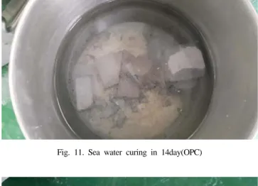 Fig. 11. Sea water curing in 14day(OPC)