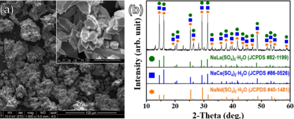 Fig. 2. (a) Typical FESEM image and (b) XRD pattern of rare earth precipitates taken after H 2 SO 4  leaching process