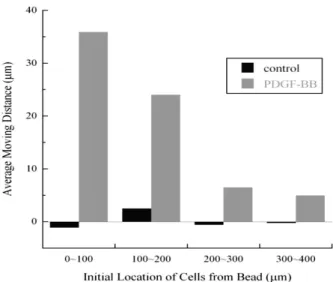 Fig. 5. Quantitative analysis of cell migration of BALB/3T3  fibroblast cells cultured around synthetic hollow silica  beads containing 10 μg/mL of PDGF-BB.