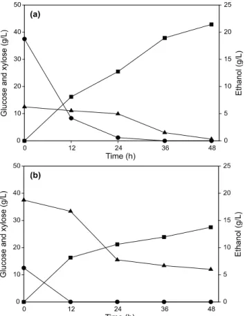 Table 1. Comparison of parameters on various xylose concentrations  in ethanol fermentation by using free Pichia stipitis