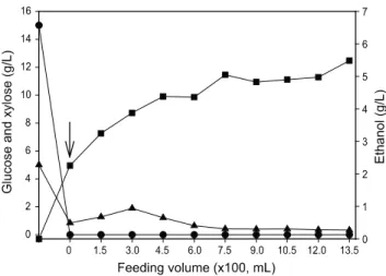 Fig. 5. Ethanol production by immobilized P. stipitis in ICR containing  1.0% mixed sugar (Glucose：Xylose = 3：1)
