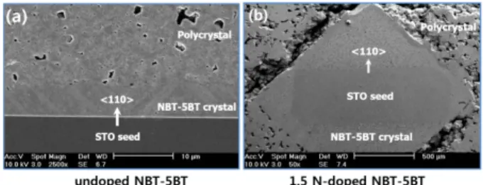 Fig. 5. SEM micrographs of solid-state single crystal growth with (110)-SrTiO 3  seed in (a) NBT-5BT and (b) 1.5 mol%