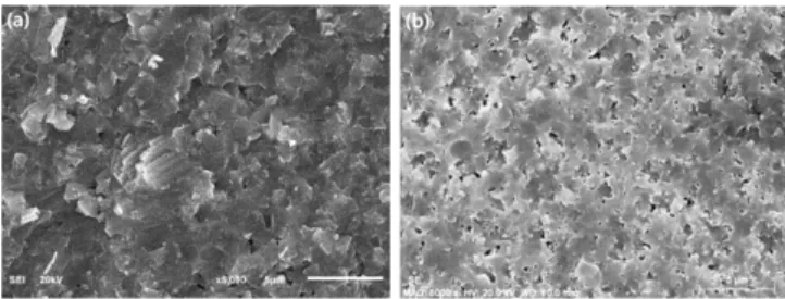 Table 1. Characteristics of sintered Al 2 O 3 -SiC ceramic composites with various SiC amount