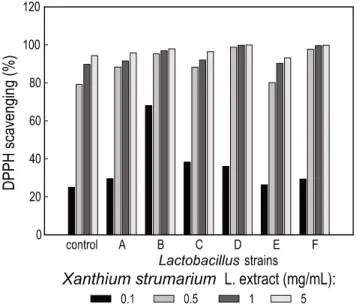 Fig. 7. DPPH radical scavenging activity on fermented Xanthium  strumarium  L.  extract with Lactobacillus strains