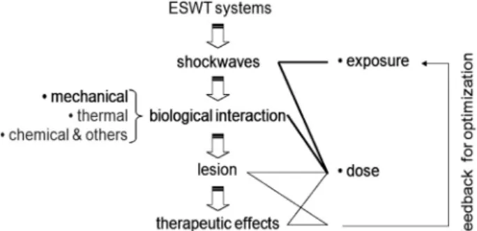 Fig.  12.  Process  leading  to  therapeutic  effects  of  ESWT  and  a  control  loop  for  optimization.