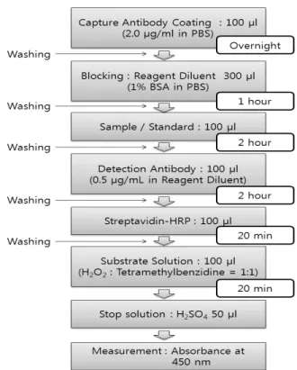 Fig. 2. General ELISA protocol for rhBMP-7 detection.