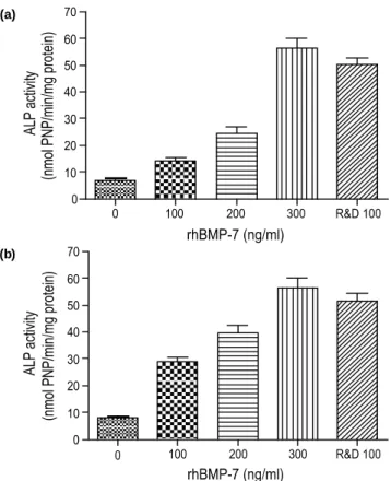 Fig. 8. The effects of the rhBMP-7 protein produced in this work on  the ALP activity of MC3T3-E1 cells: (a) extracellular rhBMP-7  and (b) intracellular rhBMP-7