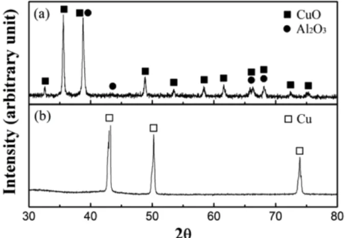 Fig. 5. SEM micrographs of the porous Cu-Al 2 O 3  composite with different sintering temperature and WO 3 -Al 2 O 3  contents.