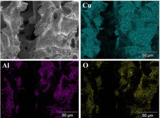 Fig. 7. SEM image and related EPMA maps of porous Cu- Cu-Al 2 O 3  specimen.
