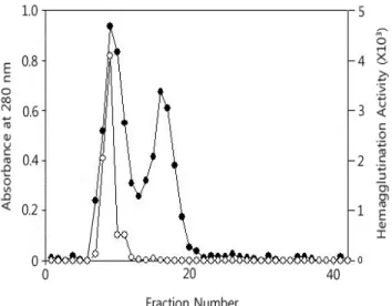 Fig. 2. Elution profile for protein (●) and hemagglutination activity  of lectin (○) isolated from locular fluid of cherry tomato  on Sephadex G-200.