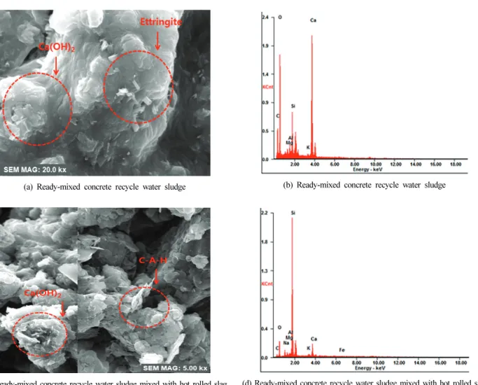 Fig. 6. SEM images and EDAX of hydrate with different modulu