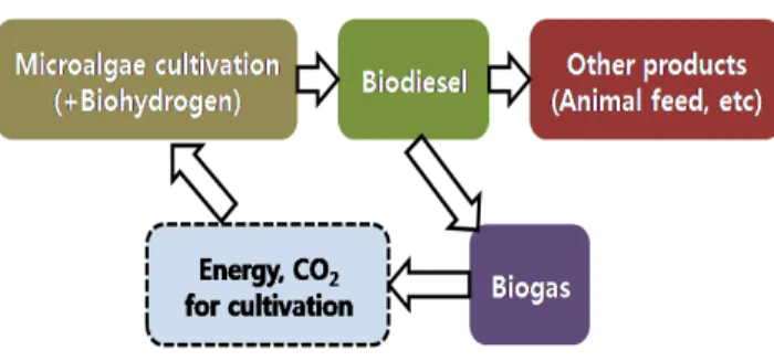 Fig. 3. Biorefinery system.