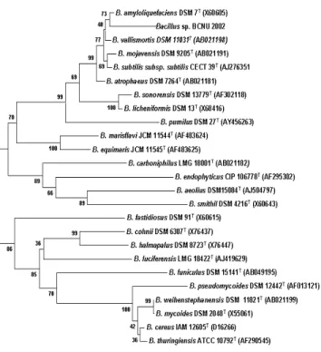 Fig. 1. Phylogenetic tree based on the 16S rRNA sequences  of the Bacillus sp. BCNU 2002 and closely related  species
