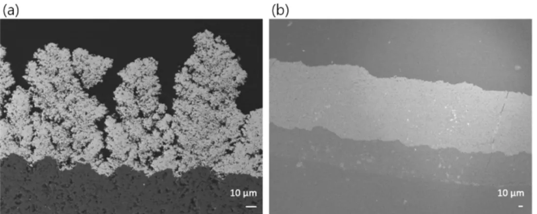 Fig. 7. XRD peaks of suspension plasma sprayed coatings using condition 2 (working distance = 55 mm).