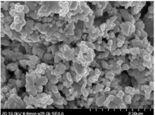 Fig. 2. SEM image of submicron silver powders prepared by electric explosion method. 