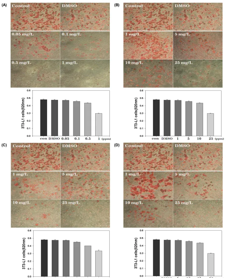 Fig. 1. Oil Red O staining of 3T3-L1 cell treated with Anthrisci radix (A), Psoraleae semen (B), Siegesbechiae herba (C)  and Corni fructus (D) after differentiation.