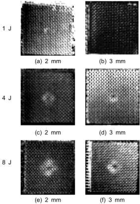 Fig.  5 Phase  lock  in  infrared  thermography  image  of  impact  defect  specimen  using  near  infrared  lamp (200  mHz,  sine  signal,  halogen  lamp)