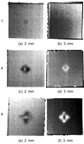 Fig.  8  presents  thermography  temperature  images  shown  when  exciting  the  light  source  of  6  kW  instantaneously  by  using  the  xenon  flash  lamp [9]