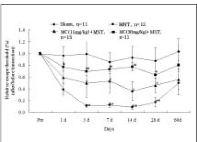 Fig. 2. Effects of mandibular nerve transection (MNT) on  pain  hypersensitivity  in  response  to  the mechanical  stimulation  in  the  whisker  pad  area.