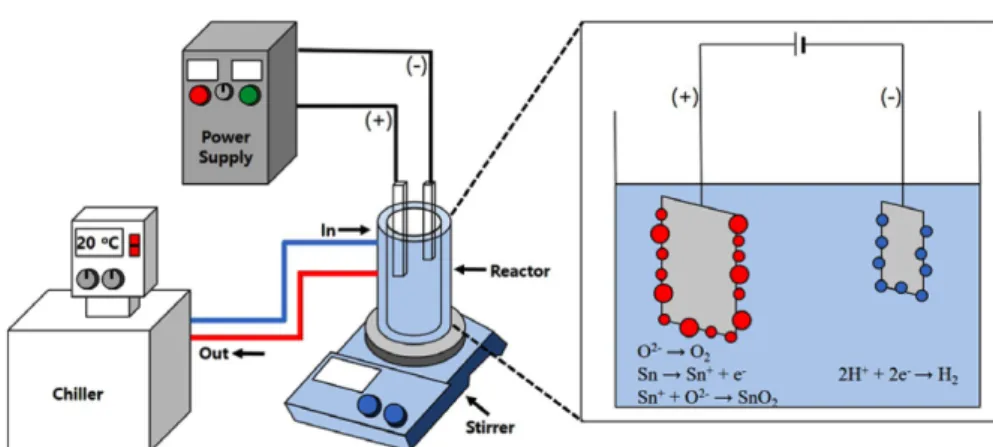 Fig. 1. Schematic diagram of plasma-assisted electrolysis process.