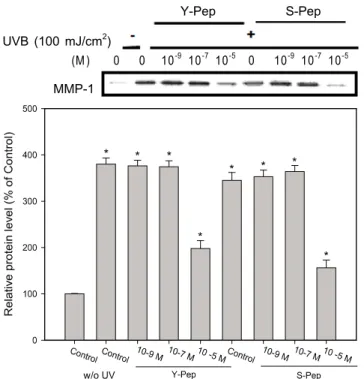 Fig. 3. Effect of selenium peptide (Se-pep) and yeast peptide  (Y-pep) pretreatment on expression of MMP-1 in human  skin fibroblasts against UVB irradiation