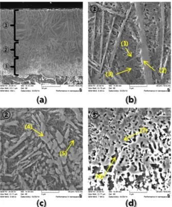 Table 1. EDS point analysis results in Fig. 4 of Ni-Cr-B-Si+WC/12Co laser cladding material.