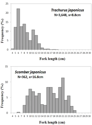 Fig. 3. Length frequency distribution of Trachurus  japonicus and Scomber  japonicus catch by a set net in the coastal waters of  Sinsan, Jeju Island from May to September 2014 and from May to October 2015