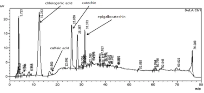 Fig. 1. HPLC chromatogram of  grape seed extract.