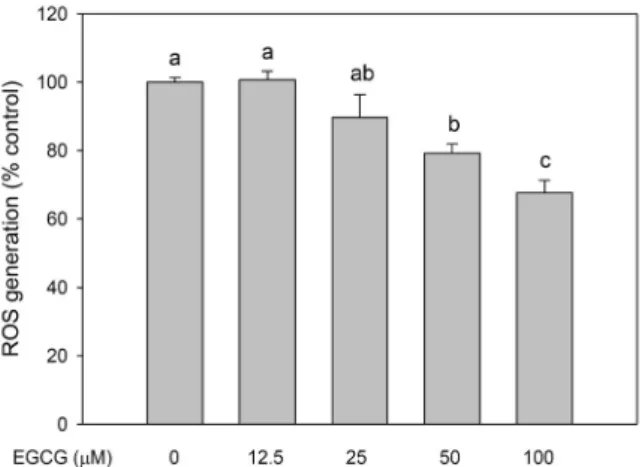 Table 1. Effect of EGCG on antioxidant enzyme activities in 3T3-L1 cells