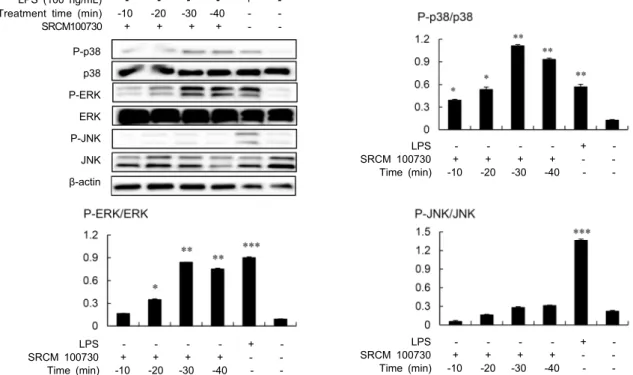 Fig. 4. Analysis of MAPK activation by the cheonggukjang fermented with B. amyloliquefaciens (SRCM 100730) in RAW 264.7 
