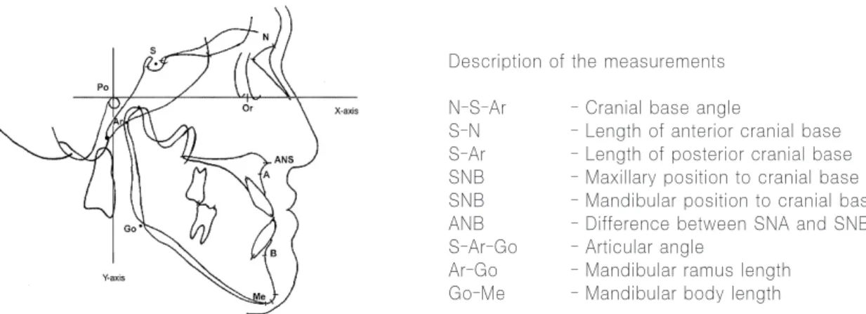 Fig. 2. Reference points and measurements used in the present study.