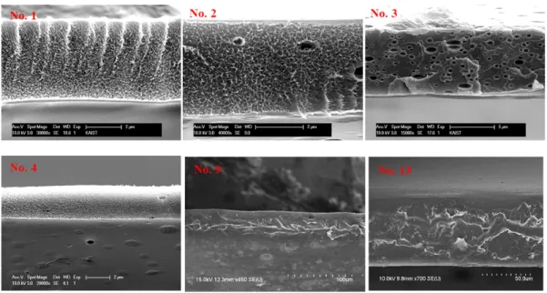 Fig.  4.  Cross-section  images  of  SEM  from  AEM-1,  AEM-2,  and  AEM-3  with  cross-linked                    anion-exchange  group.