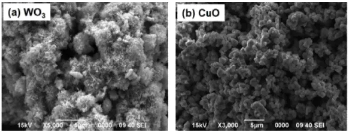 Fig. 2. Particle size distribution of (a) WO 3  powder and (b) CuO powder. 