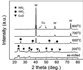 Fig. 8. TEM images of WO 3 -CuO powder mixtures milled for 10 h; (a) low magnification and (b) high magnification.