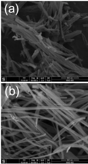 Fig. 1. FE-SEM images of (a) as-synthesized pure TNT and (b) CNT-TNT composite.