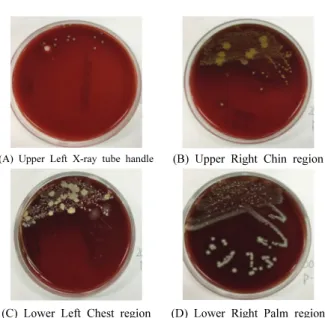 Fig.  3  Microbial  identification  result.