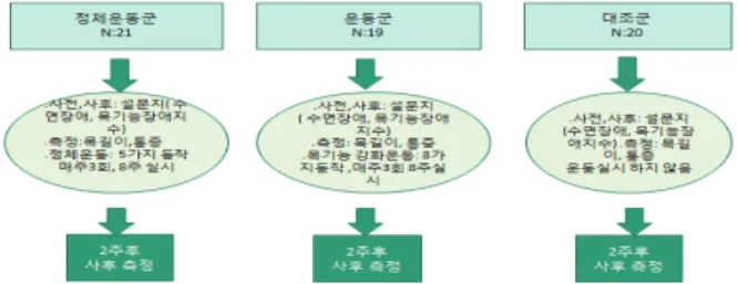 Fig.  1.  Experimental  procedure  and  method.