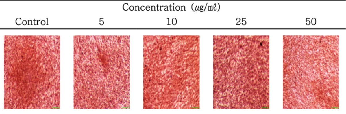 Fig.  3.  Effects  of  Perilla  frutescens   var.  crispa  and  Atractylodes  macrocephala  Koidzum i  mixture  on  the  Alkaline  phosphatase  activities  of  the  MG-63  osteoblastic  cell