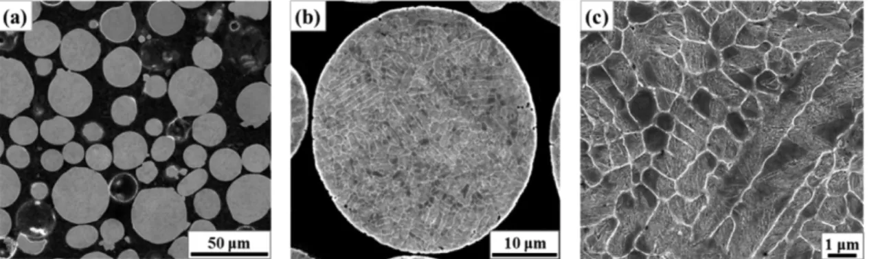 Fig. 3. Points of the analyses (1-3) by energy dispersive spectroscopy (EDS, refer to Table 2) and electron backscatter diffraction (EBSD) in the powder, and indexed EBSD patterns from the carbides (points 2 and 3).