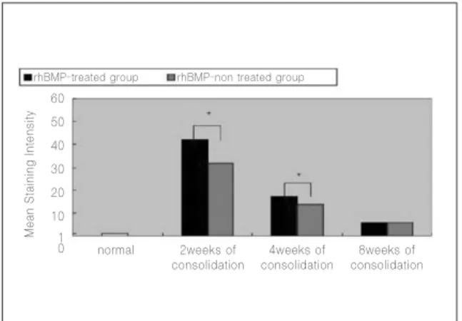 Fig. 1. Mean  staining  intensity  for  the  osteocalcin  in normal  mandible,  treated  group  and   rhBMP-non treated group