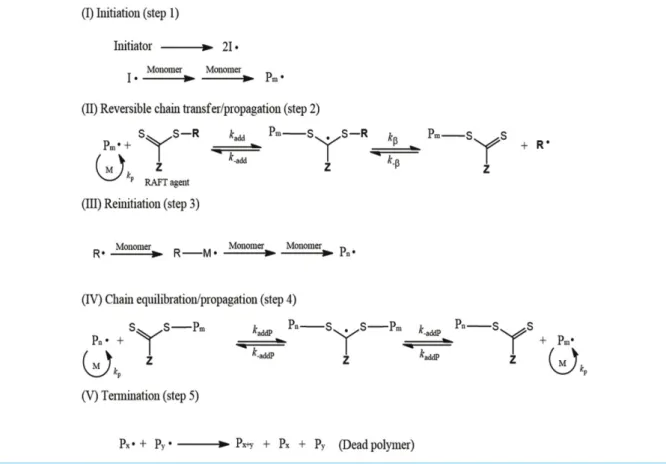 Figure 1. General mechanism of reversible addition-fragmentation chain transfer (RAFT) polymerization 17