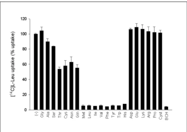 Fig. 7. Double  reciprocal  plot  analysis  of  inhibitory effect of BCH on the [ 14 C]L-leucine uptake in Saos2 human osteogenic sarcoma cells