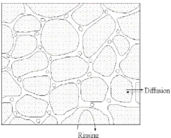 Figure  1.  Schematic  diagram  of  vegetal  cell  structures.