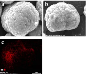 Fig. 3. Si 2p XPS spectrum for the LSO-coated sample.