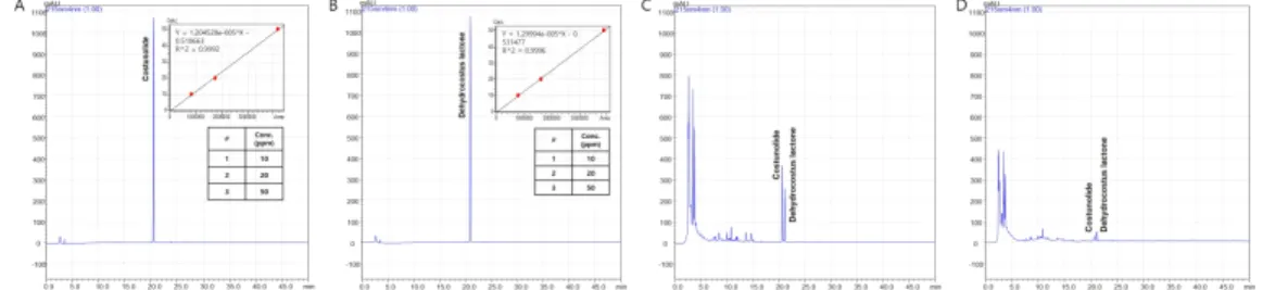 Fig.  1.  HPLC  pattern  analysis  of  AL  extracts.  Costunolide  (A),  dehydrocostus  lactone  (B)