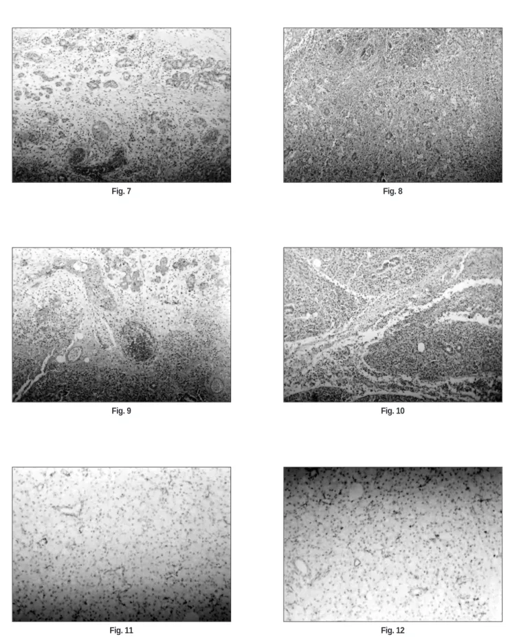 Fig. 7 Fig. 8