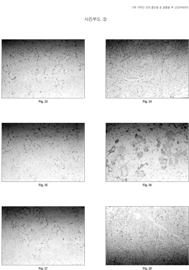 Fig. 13 Fig. 14