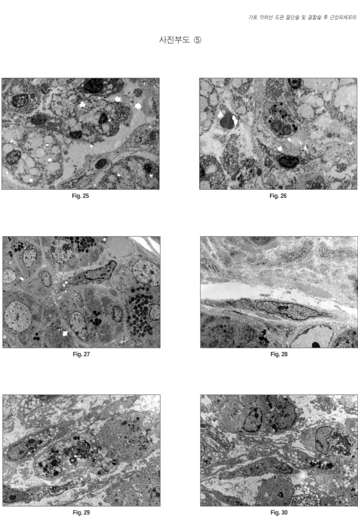 Fig. 25 Fig. 26