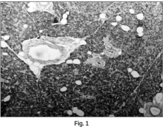 Fig. 5 Fig. 6